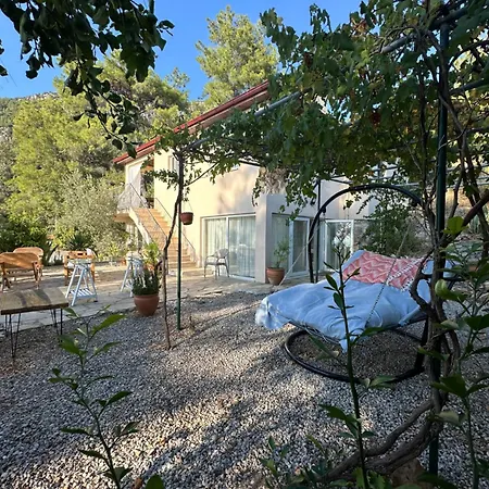 Tulya Case de vacanță