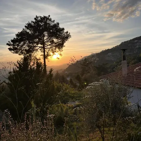 Tulya Gökçeovacık